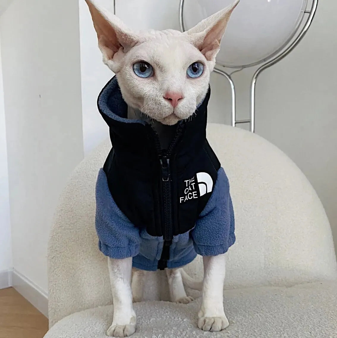 Hairless Cat Clothes Warm Pet Cat Clothes - Bellarte Enchanté Hairless Cat Clothes Warm Pet Cat Clothes